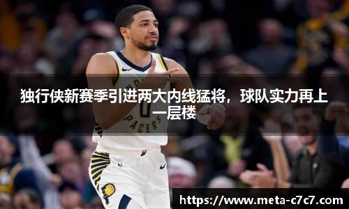 独行侠新赛季引进两大内线猛将，球队实力再上一层楼